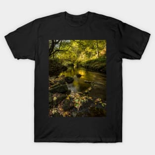 West Beck, Goathland, North Yorkshire T-Shirt